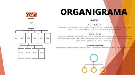 Organigrama De Empresa De Oxxo Pares The Best Porn Website