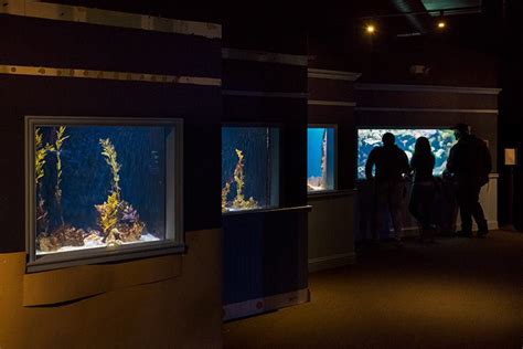 Greater Cleveland Aquarium Takes The Plunge With A Major 250000