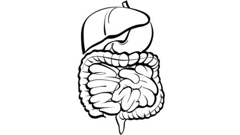 Modified Appleby Procedure Proves Promise for the Treatment of Pancreatic Cancer