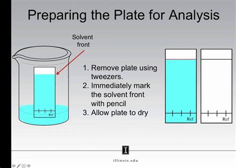 Layer Chromatography Explanation At Margaret Smyth Blog