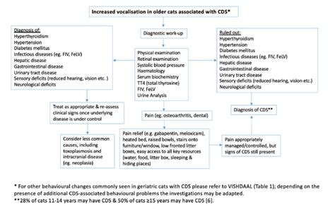 Algorithm for diagnosis of Cognitive dysfunction syndrome (CDS ...