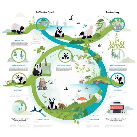 Premium Vector | Panda_life_cycle_infographic_vector