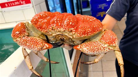 Eating MONSTER Tasmanian KING CRAB LOBSTER At Australia S LARGEST