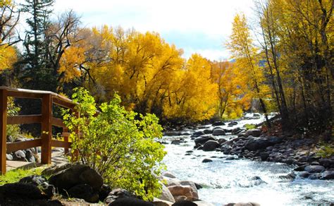 Free Images Landscape Tree Nature Leaf Flower Travel Pond