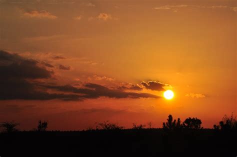 Caldo Anomalo Risveglio Primaverile Sabato Punte Di C Icona Meteo