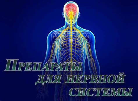 Успокаивающие препараты для нервной системы