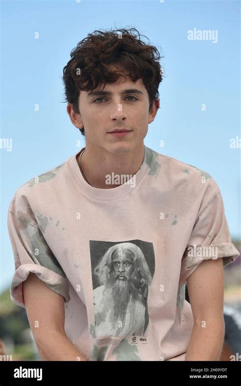 Edici N Th Del Festival De Cannes El Actor Timothee Chalamet Posando