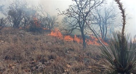 Guanajuato Consume Incendio Forestal Hect Reas En La Sierra Gorda