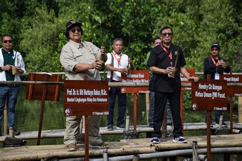 Rehabilitasi Mangrove Baru Mencapai Hektar Dari Target