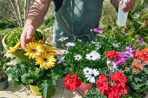 El jardinero está rociando agua limpia o fertilizante líquido en las