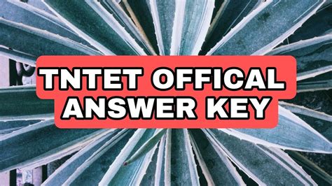 Tntet Paper 1 Answer Key 2022 How To Check Answer Key TNTet Paper 1