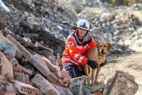 Sachsens Rettungs Hunde Unter Tr Mmern Haben Sie Den Besten Riecher