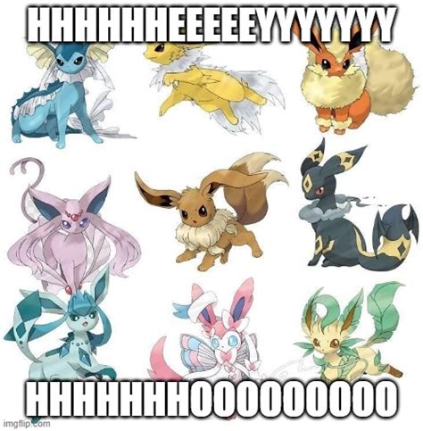 Eevee Memes And S Imgflip