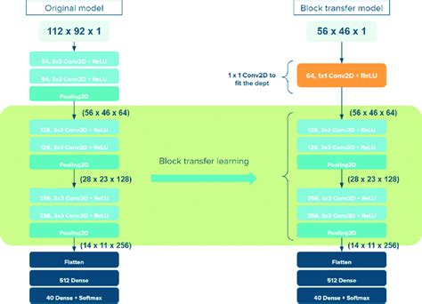 block transfer learning  original model   input