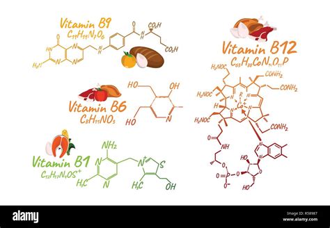 Vitamin Complex With Food B B B B Label And Icon Chemical