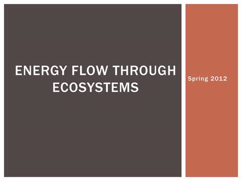 Ppt Energy Flow Through Ecosystems Powerpoint Presentation Free