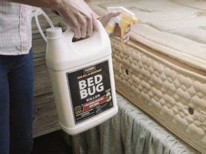 How Do Exterminators Get Rid Of Bed Bugs Integrity Bed Bug Solutions