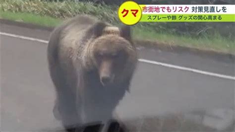 ヒグマの出没が過去最多に市街地でも繰り返し目撃 「クマよけグッズ」に関心高まる 【北海道発】｜fnnプライムオンライン