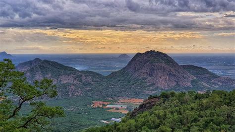 Palani Hills National Park - Holiday Landmark Blog