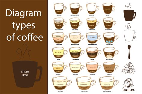 Diagram Types Of Coffee ~ Illustrations On Creative Market