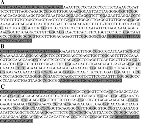 Promoter Sequences Selected For Analysis Of Cpg Methylation Of A Vegf