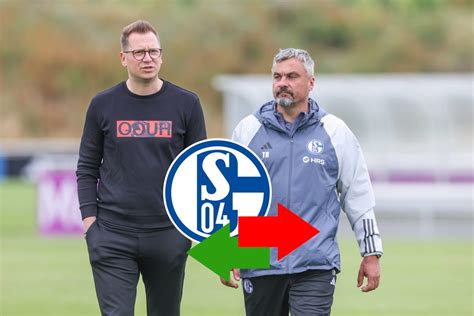 Schalke Transfers 2023 Steht Bald Ein Hammer Wechsel Bevor DerWesten De