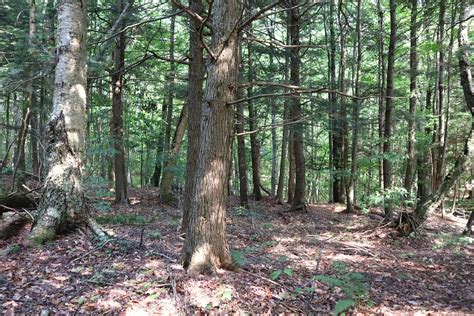 Middle Grove Saratoga County NY Recreational Property Timberland