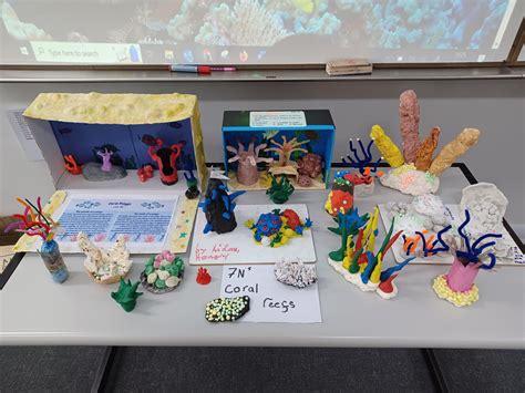 Coral Reef Models In Year 7 Bangkok Patana School