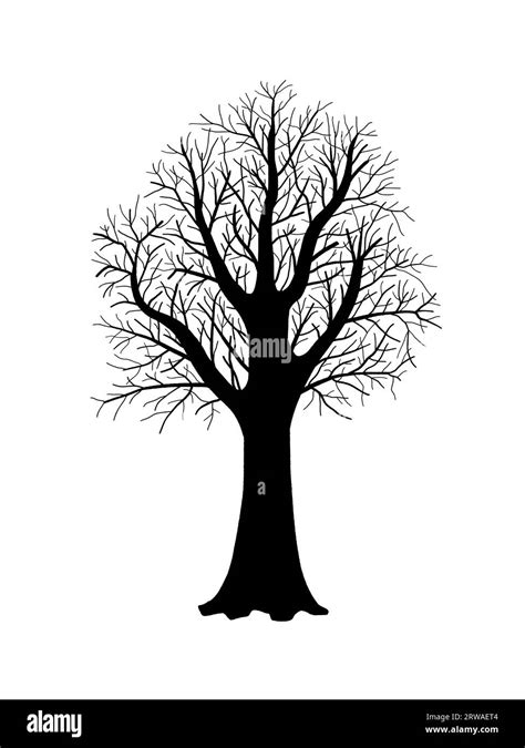 Tree silhouette. Isolated vector illustration. Simple cartoon tree ...