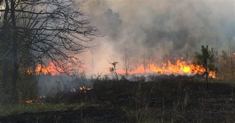 Lbl Burning 2500 Acres Of Forest