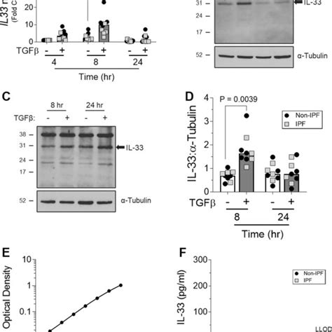 Il 33 Expression In Ild Lung Tissue And Non Ipf And Ipf Lung Download Scientific Diagram