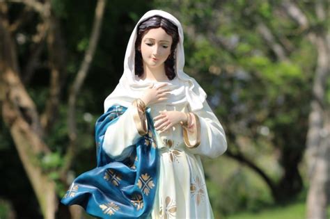 Descubre el significado de soñar con la virgen inmaculada concepción