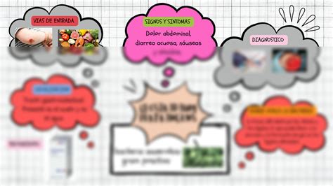 SOLUTION Mapa Mental De La Bacteria Clostridium Perfinges Studypool