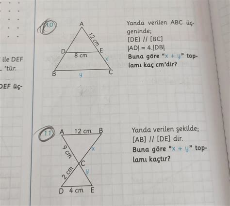 Arkada Lar Rica Etsem U Iki Soruyu Z M N Atabilir Misiniz Eodev