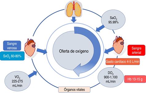 The Importance Of Oxygen Debt Determination In The Perioperative Period