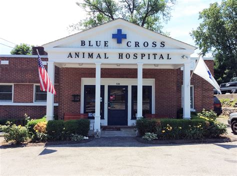 Blue Cross Animal Hospital Veterinarian