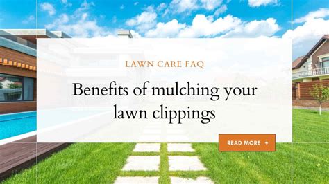 What Are The Benefits Of Mulching Your Lawn Clippings Lawn Care Faq