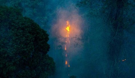 Megaincêndios atingiram 300 mil hectares de floresta no Baixo Tapajós