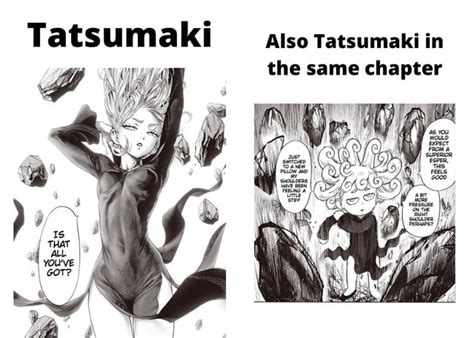 The Duality Of Tatsumakis Appearance Ronepunchman