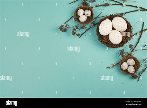 Easter Holiday Background Nest With Small Eggs Branches Of Pussy Willow Greeting Card Spring