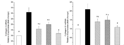 Effects Of Amlodipine Atorvastatin And Their Combination On Mrna