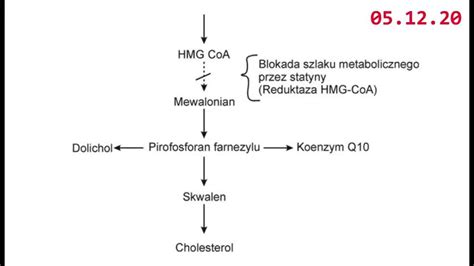 Cholesterolowe kłamstwo cz 4 Jerzy Zięba TV