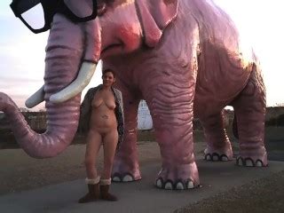 Real Amateur MILF Flashing Public Pornhub