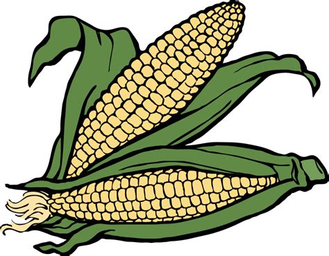 Corn Stalk Clip Art