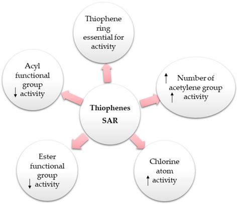 Summary Of The Reported Structure Activity Relationship Sar Of