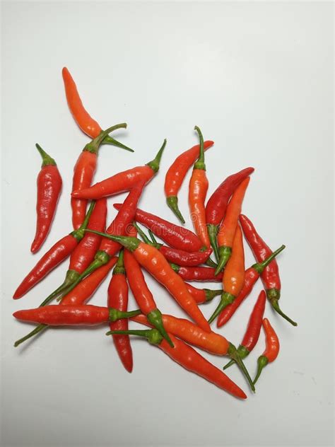 White Background with Cayenne Pepper, Red Cayenne Pepper. Cabe Rawit, Cabai, Indonesian Chili ...