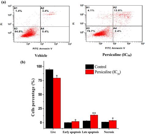 Persicaline Induced Cell Apoptosis Of MCF 7 Evaluated By Annexin