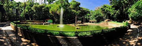 Bosque Dos Jequitibás - Zoológico de Campinas Bosque dos Jequitibás | Campinas SP