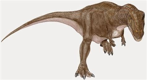 Indosaurus Pictures & Facts - The Dinosaur Database