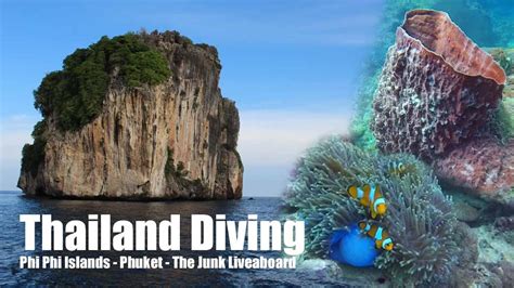 Thailand Scuba Diving Phi Phi Islands The Junk Liveaboard August